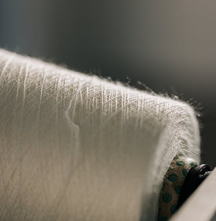 Everbloom transforma plumas de pollo en “cashmere” con nueva IA